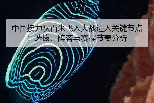中国接力队百米飞人大战进入关键节点：选拔、阵容与赛程节奏分析